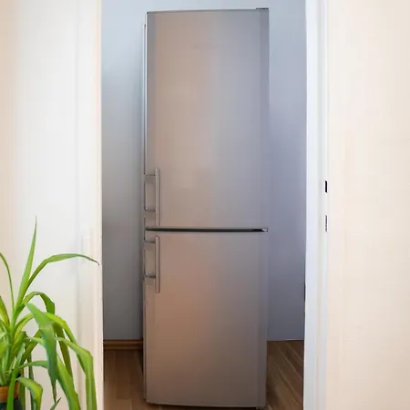 Center Apartment *